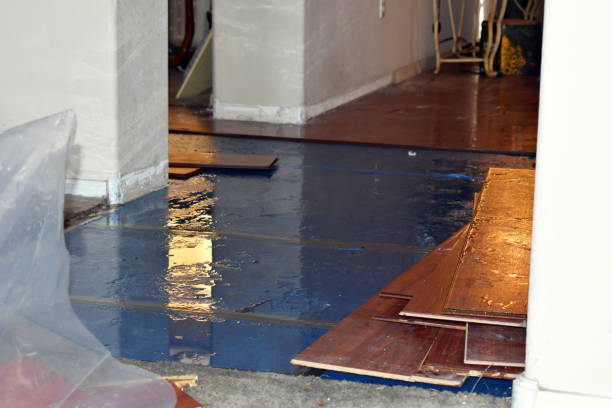 Professional Water Damage Restoration technician working in Purdon, TX